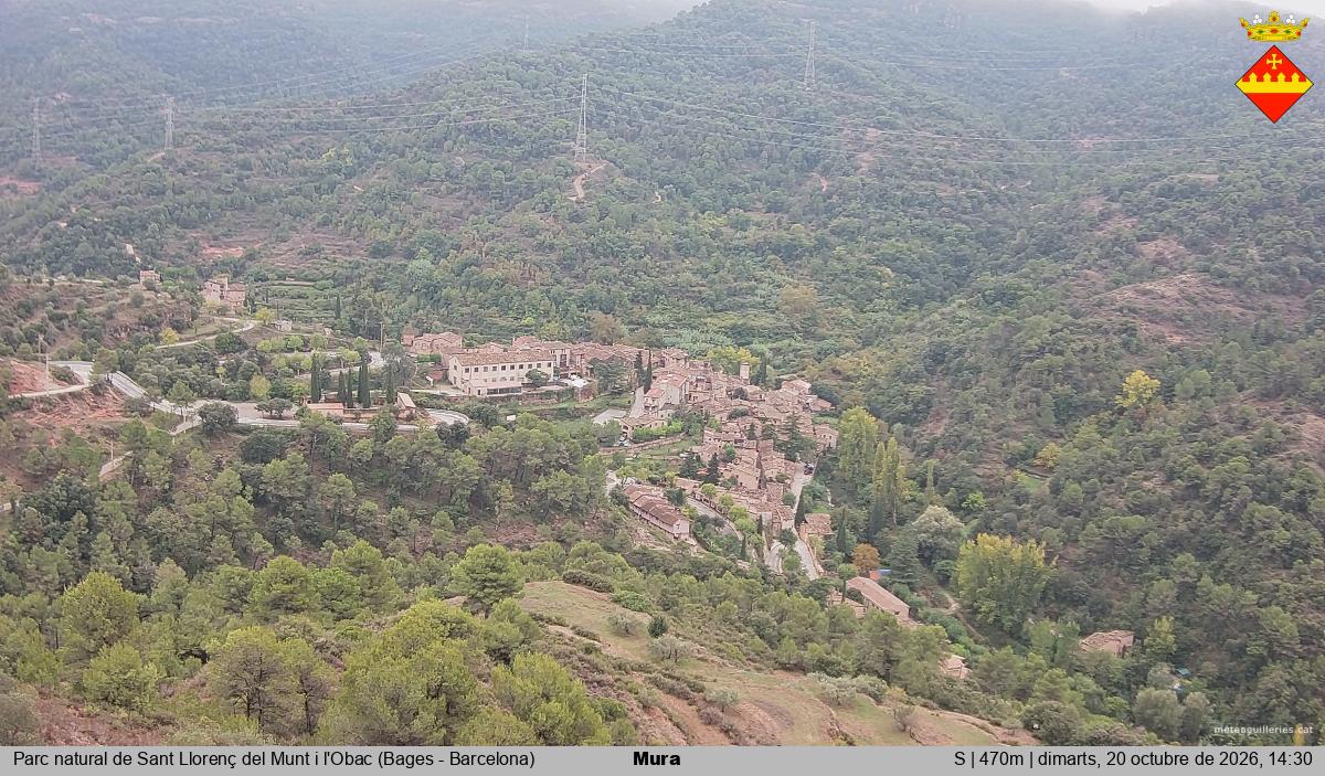 Mura 