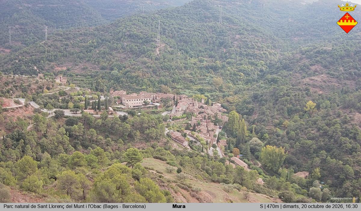 Mura 