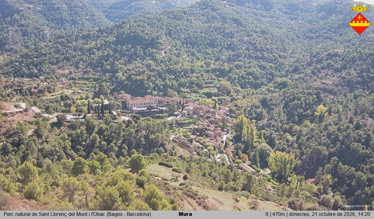 Mura 