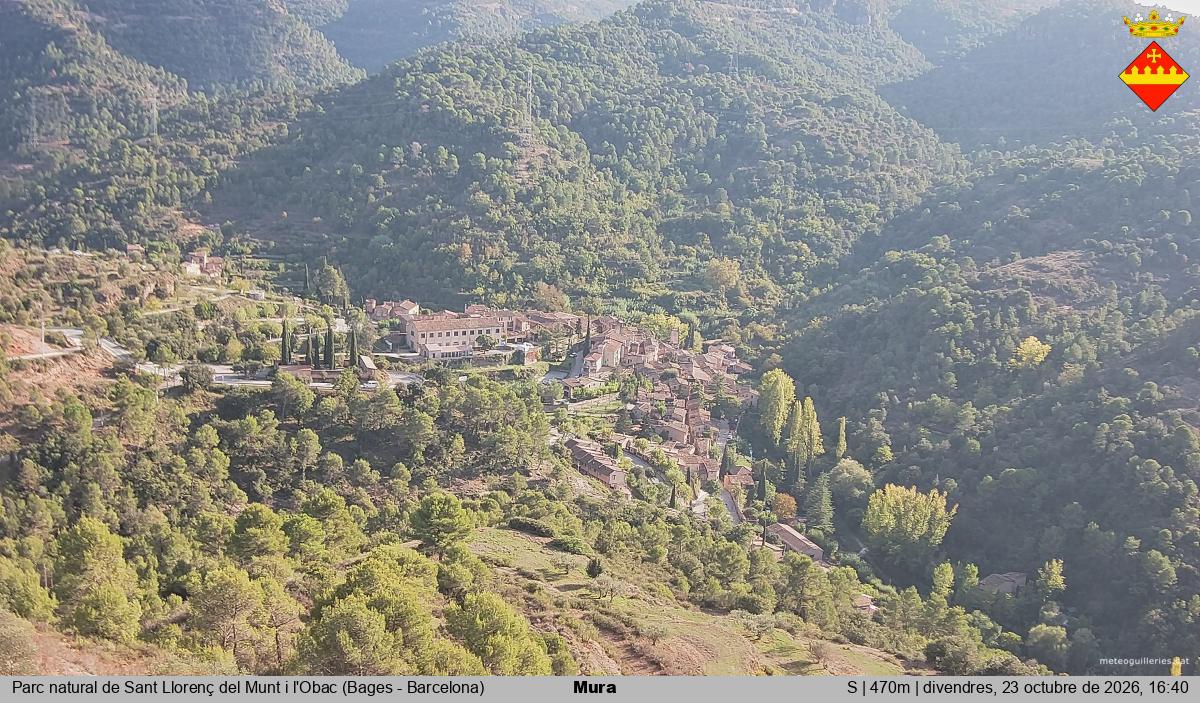 Mura 