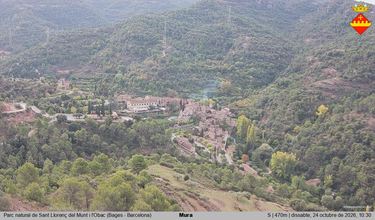 Mura 