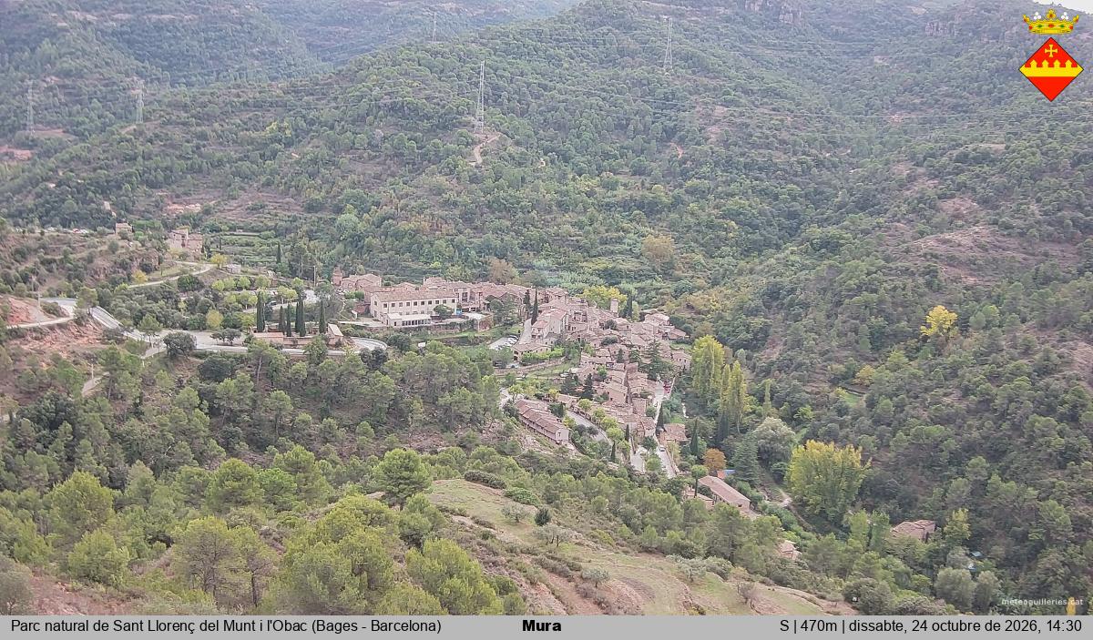 Mura 
