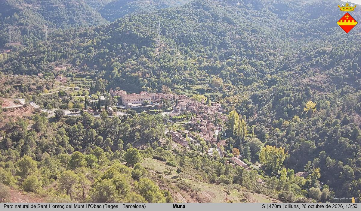 Mura 