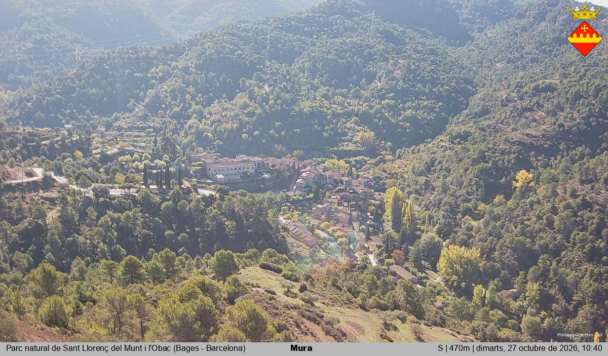 Mura 