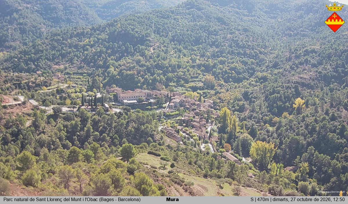 Mura 