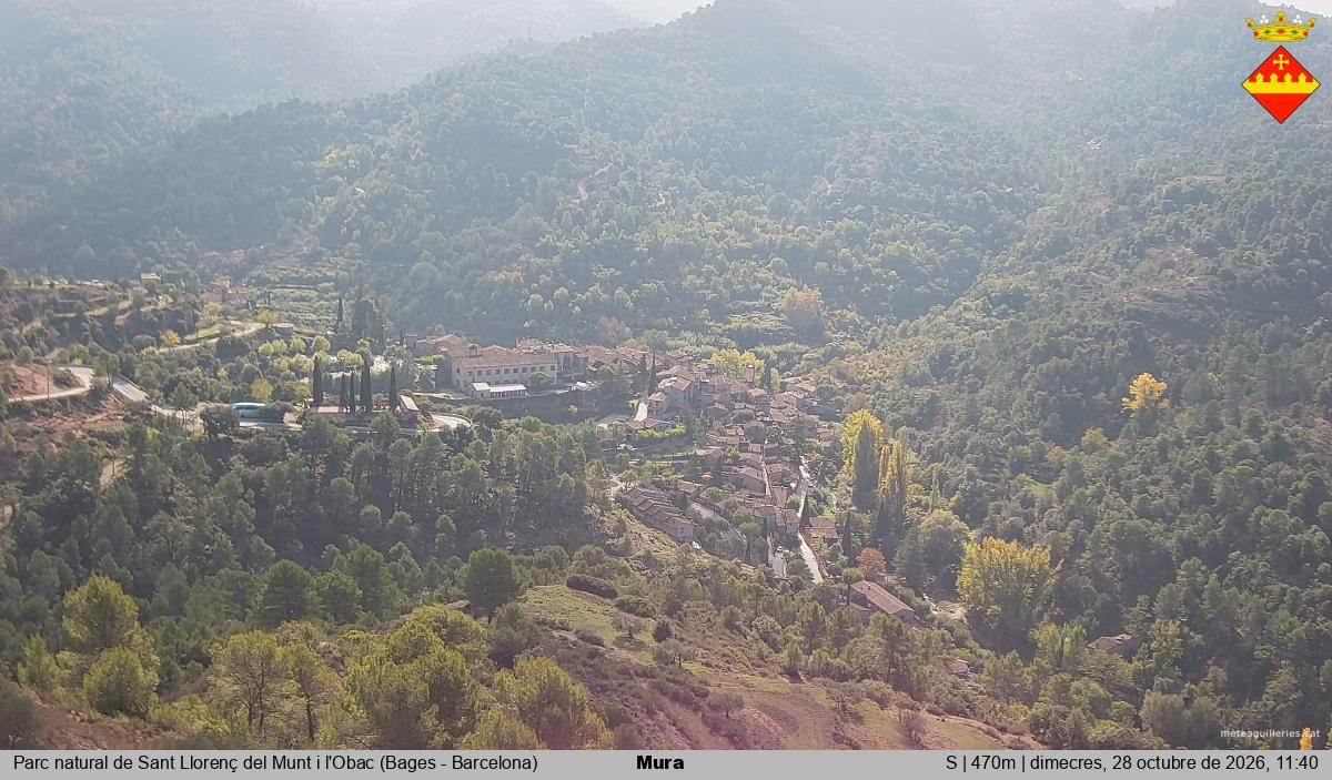 Mura 