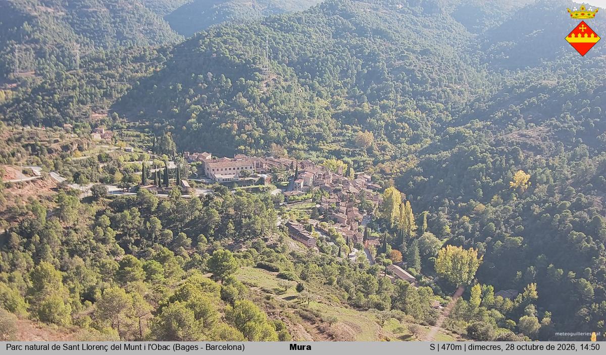 Mura 
