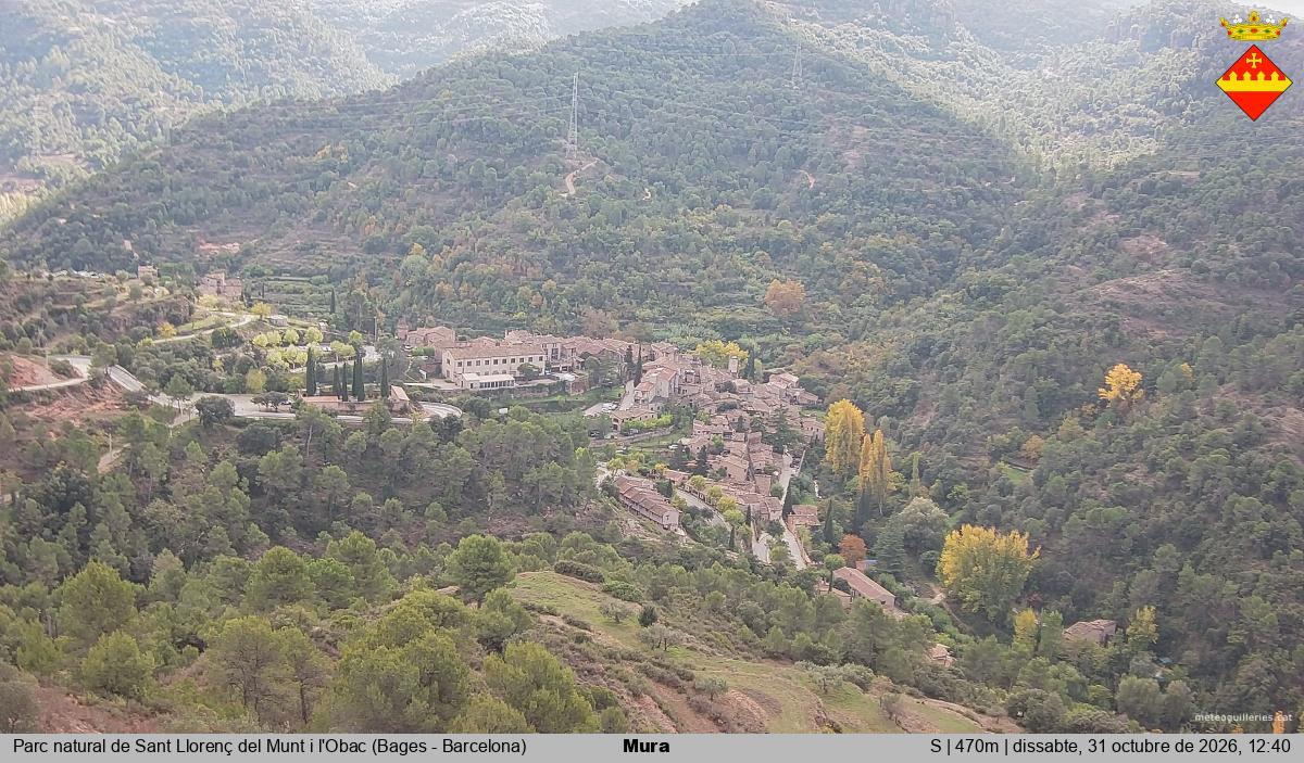 Mura 