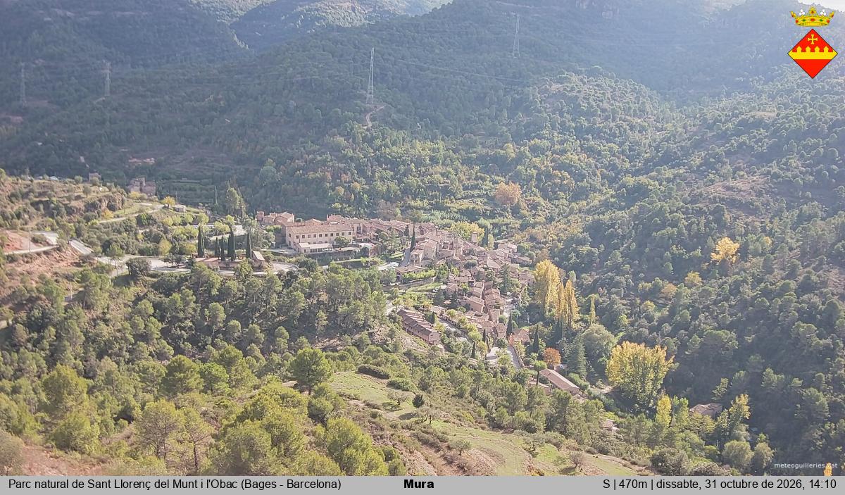 Mura 