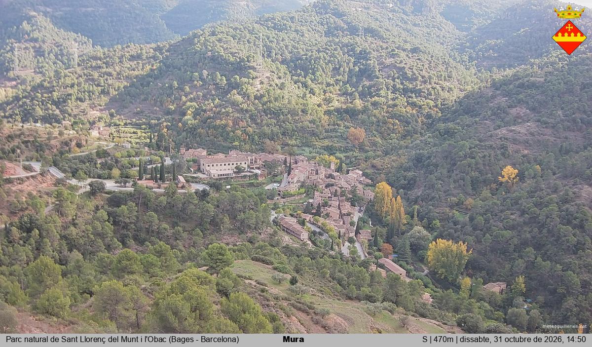 Mura 