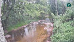 Webcams