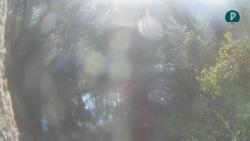Webcams