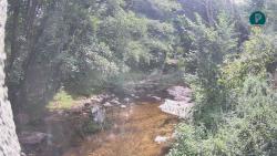 Webcams
