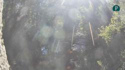 Webcams