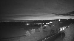 Webcams