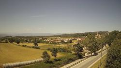 Webcams