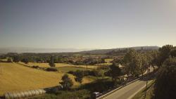 Webcams