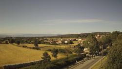 Webcams