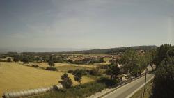 Webcams