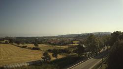 Webcams