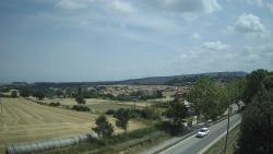 Webcams