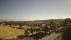 Webcams