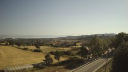 Webcams
