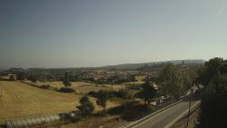 Webcams