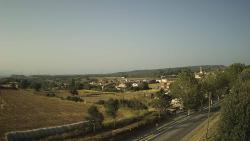 Webcams