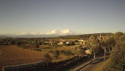 Webcams