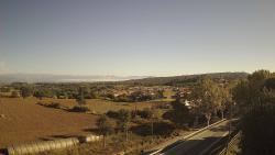 Webcams