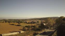 Webcams