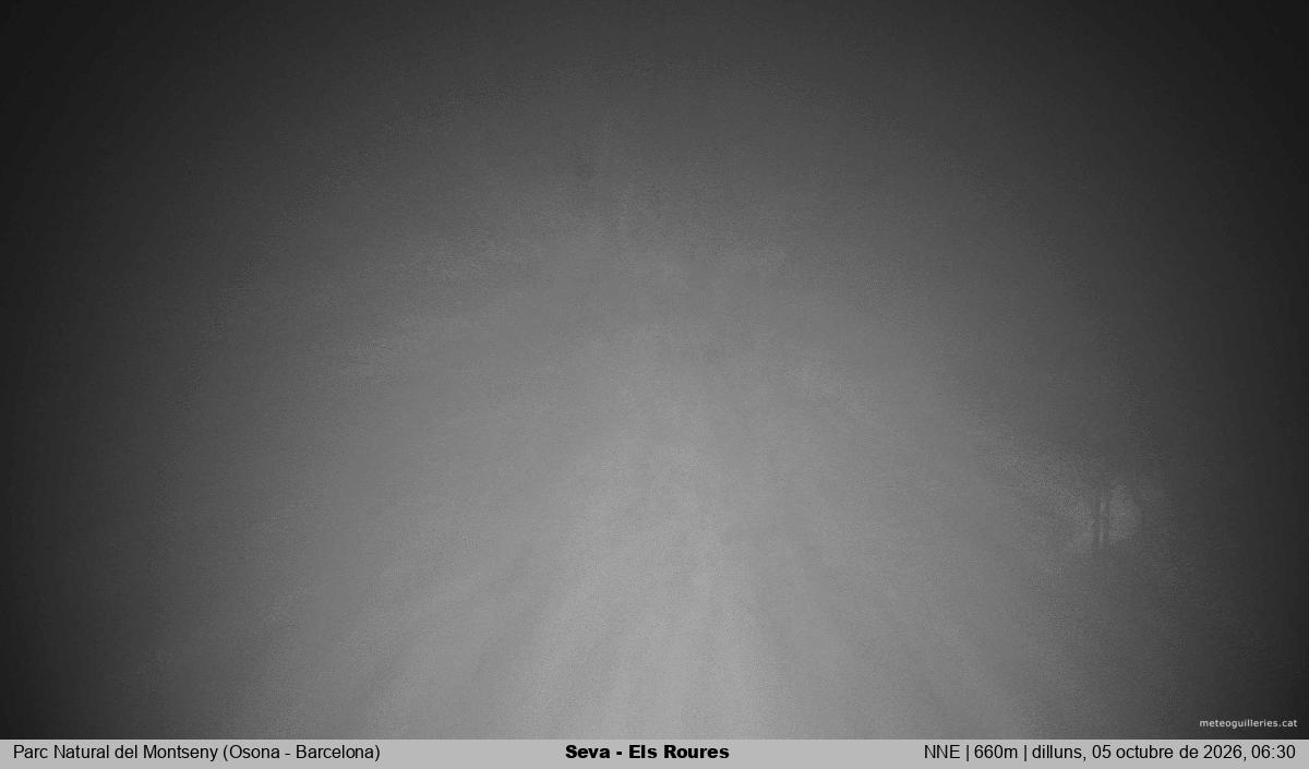 Seva - Els Roures