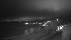 Webcams