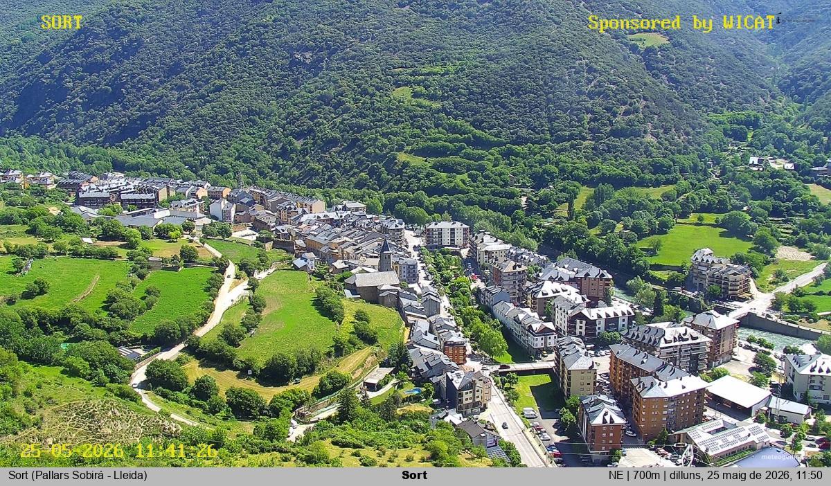 Sort