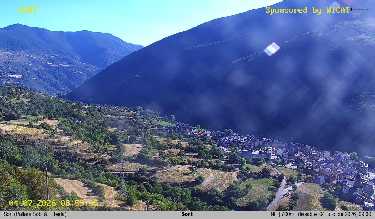 Sort