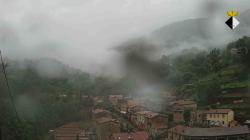 Webcams
