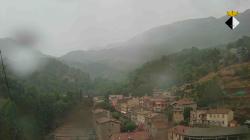 Webcams