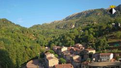 Webcams