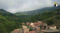 Webcams