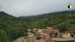 Webcams