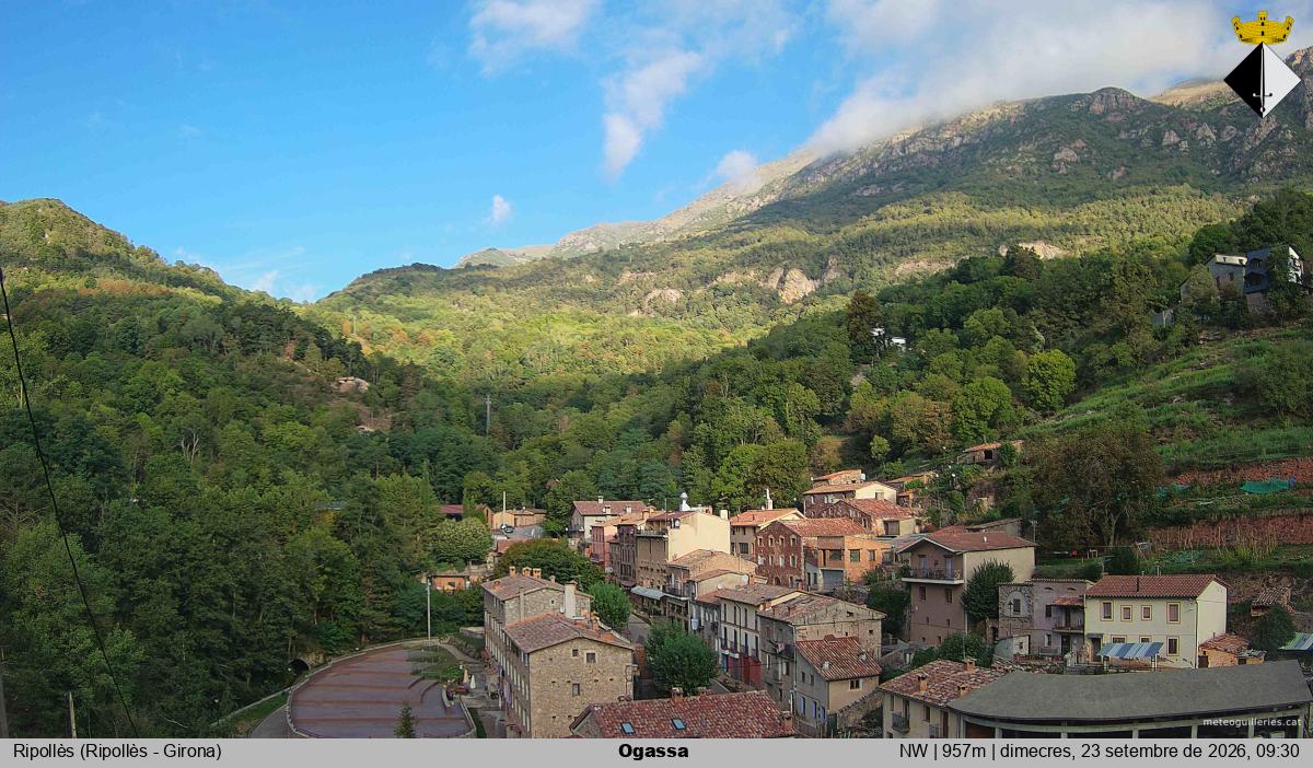 Ogassa