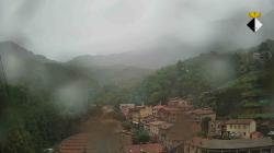 Webcams