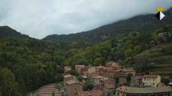 Webcams