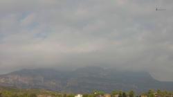 Webcams