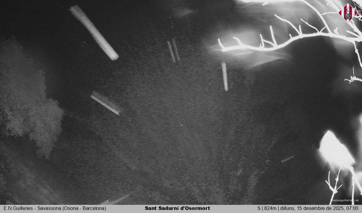 Sant Sadurní d'Osormort 