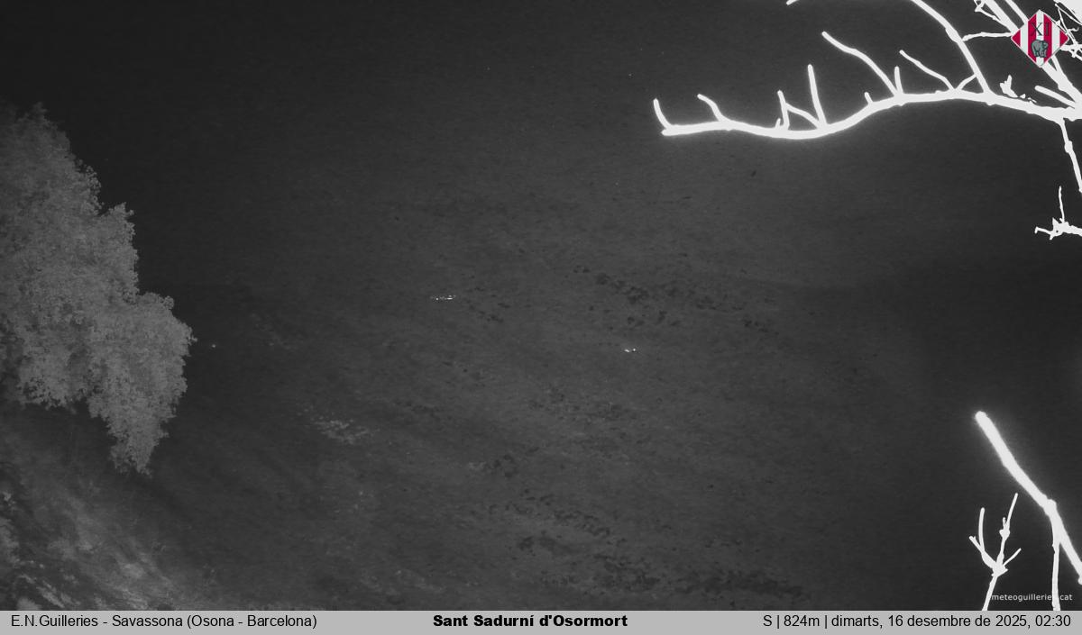 Sant Sadurní d'Osormort 