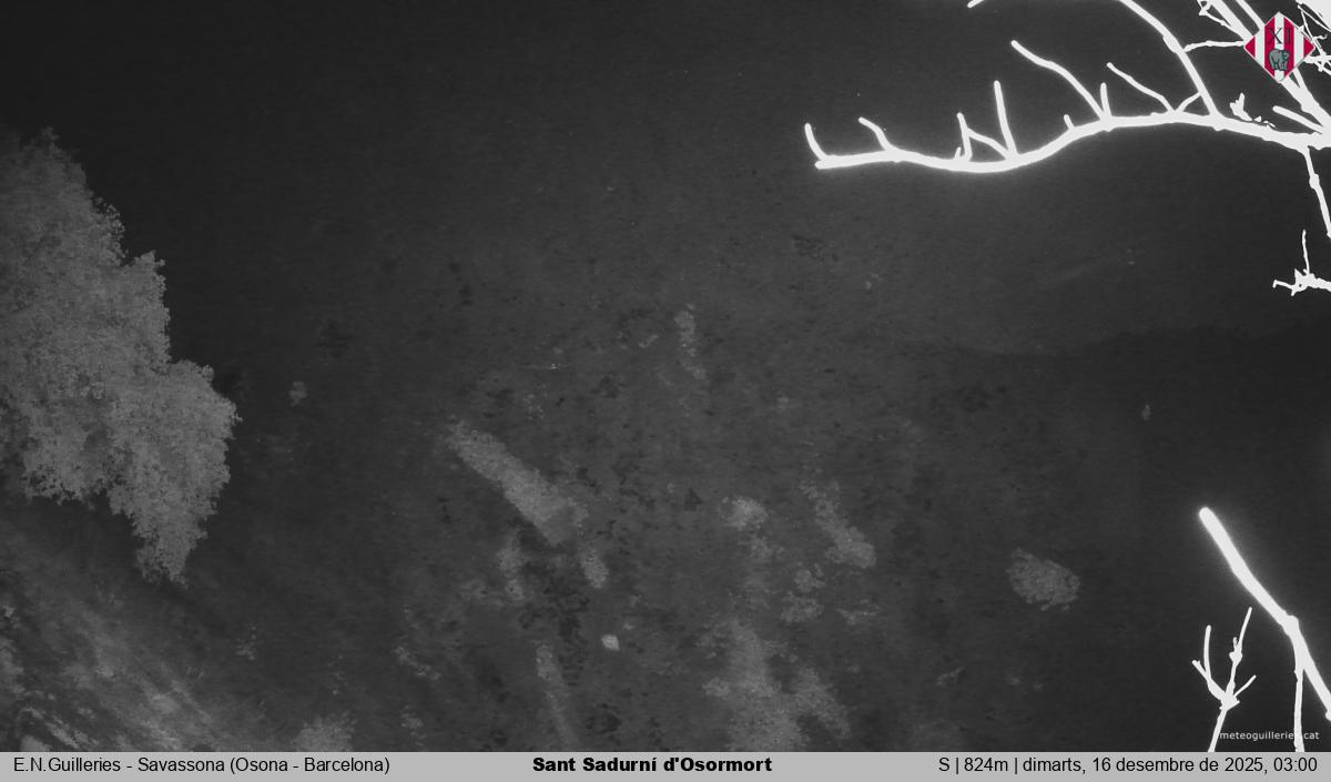 Sant Sadurní d'Osormort 