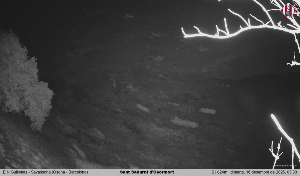 Sant Sadurní d'Osormort 