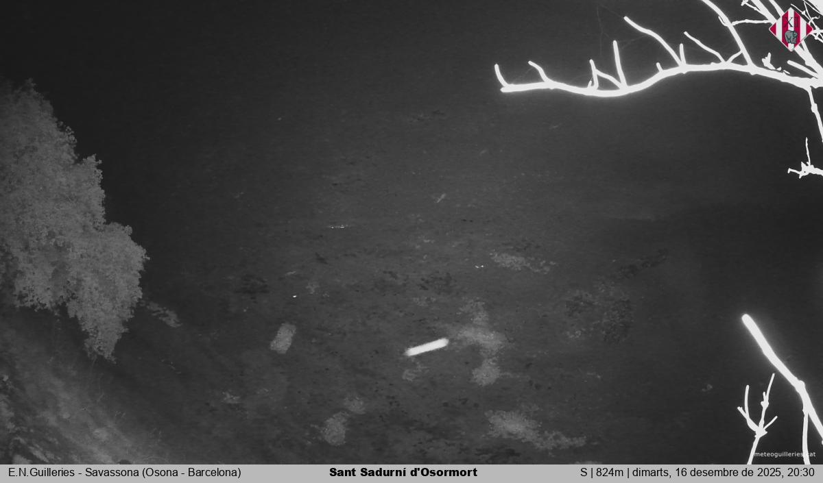 Sant Sadurní d'Osormort 